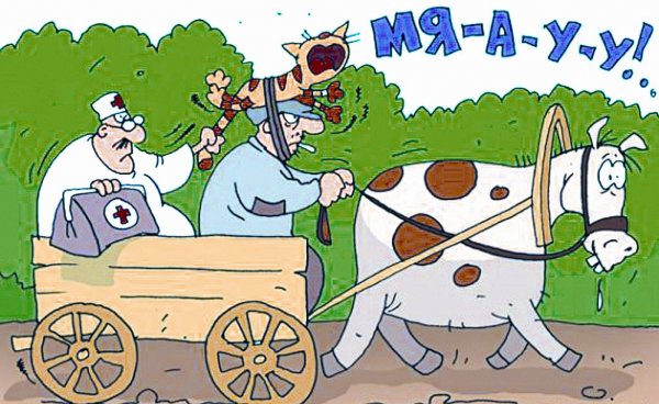 С днем фельдшера