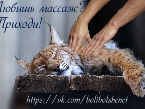 Шутки про массаж