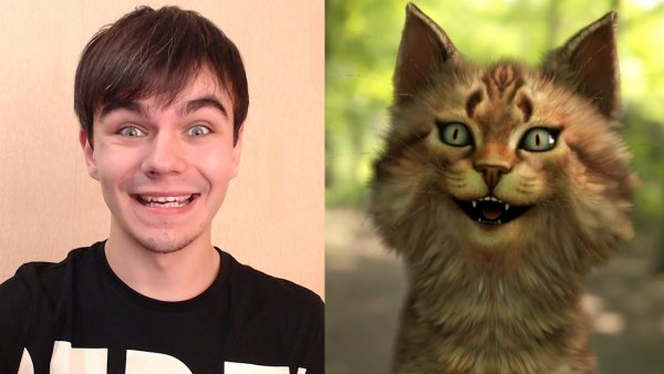 Котик Игроман