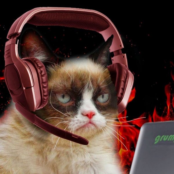 Нарисовать котика