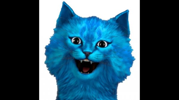 Подпишись котик