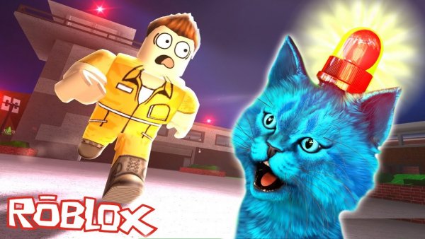 Котенок Игроман