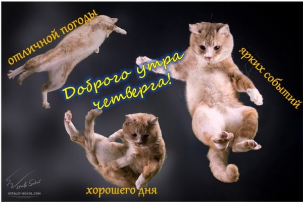 Доброе утро четверга прикольные
