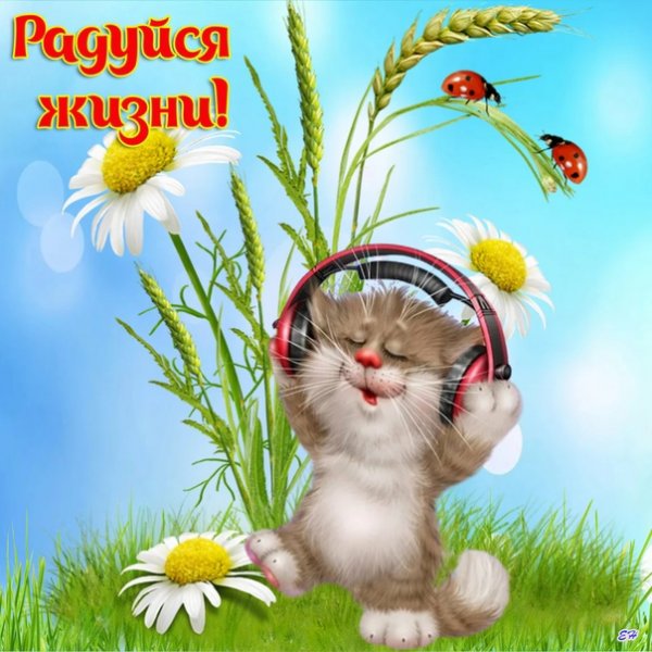 Радуйтесь жизни