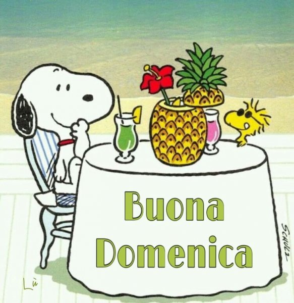 Buona domenica картин прикольные
