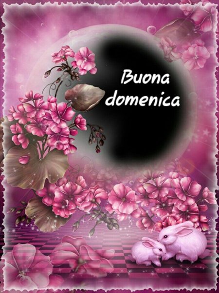 Buona domenica картинки