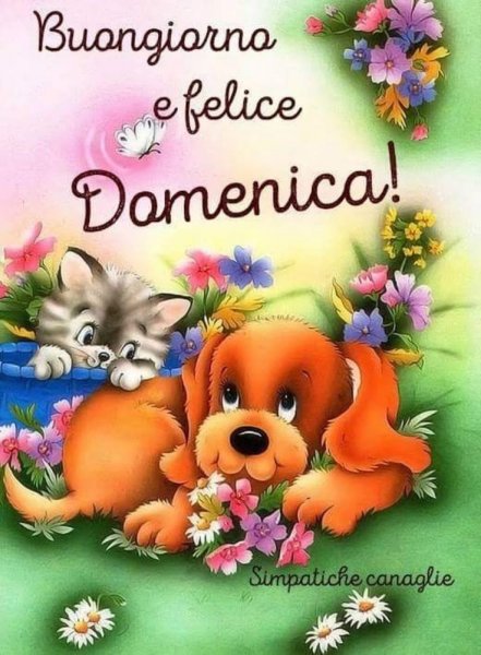 Открытки buongiorno e buona domenica