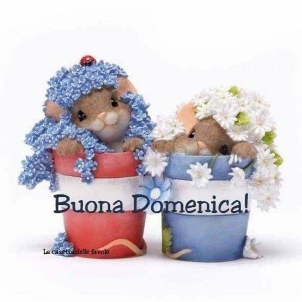 Открытки buona domenica