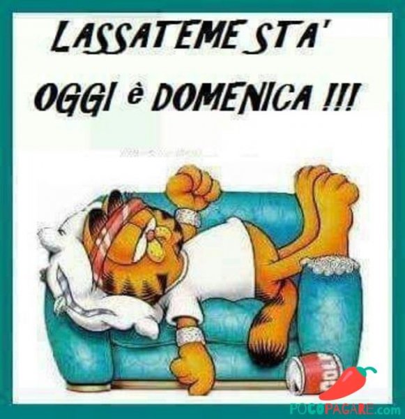 Buona domenica картинки весёлые