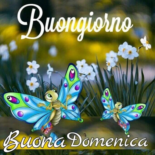 Buona domenica открытки смешные