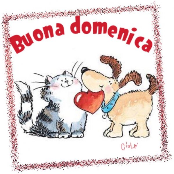 Buona domenica картинки весёлые