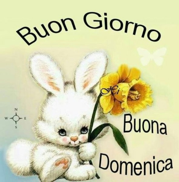 Buongiorno открытки