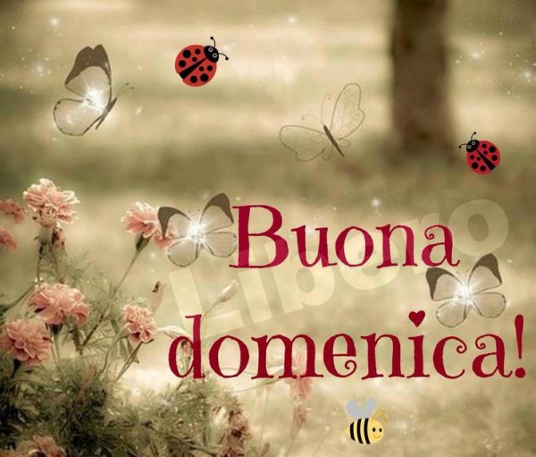 Открытки buona serata e buona domenica