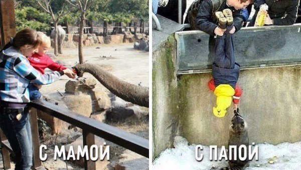 Гулять с мамой хорошо но с папой веселее