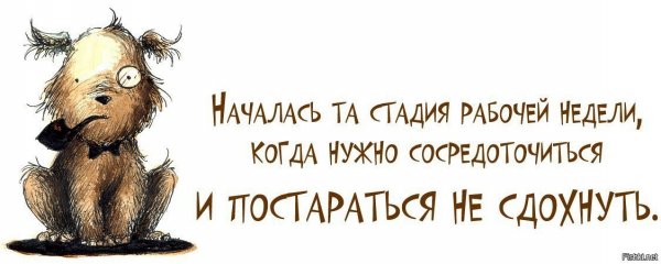 Цитаты про усталость