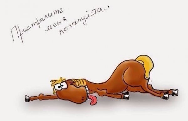 Загнанная лошадь