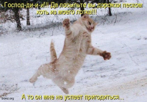 Смешное про гололед