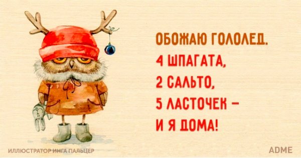 Гололед юмор