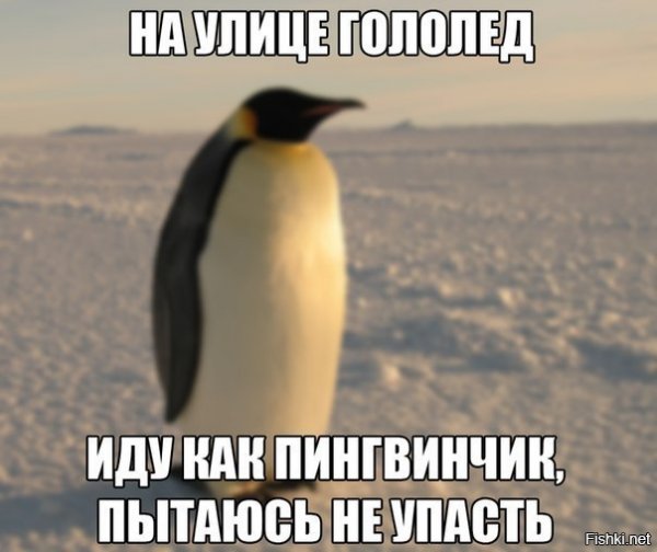 Доброе утро гололед