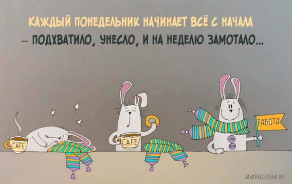 Смешные открытки с началом рабочей недели