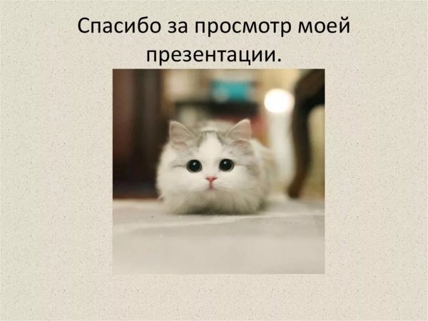 Спасибо за внимание для презентации
