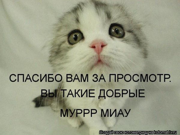 Спасибо за просмотр