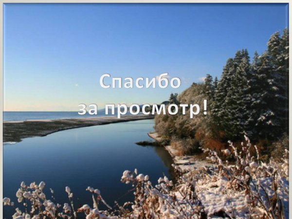 Спасибо за внимание учите химию