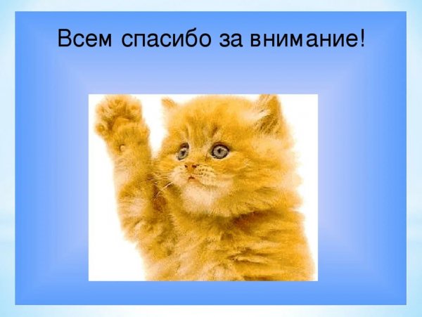 Веселый слайд спасибо за внимание