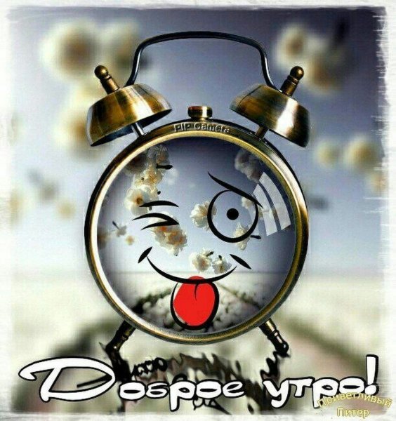 Доброе утро смешные