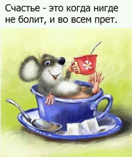 Открытки с добрым утром с юмором