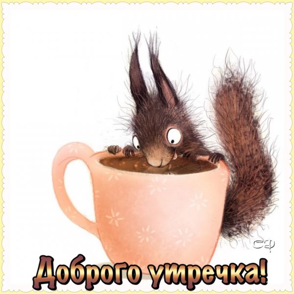 С добрым утром Белочка