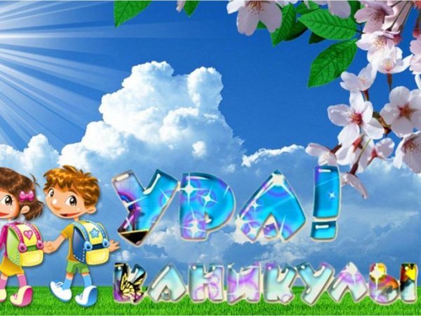 Ура летние каникулы