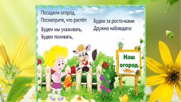 Стихи про огород на окошке