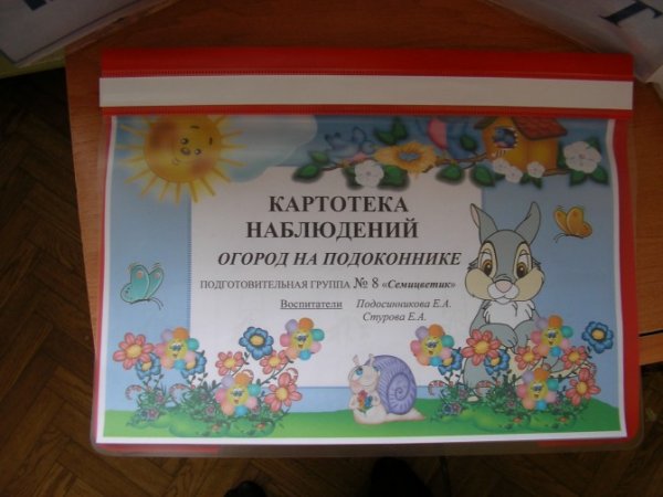 Дневник наблюдения за огородом на подоконнике