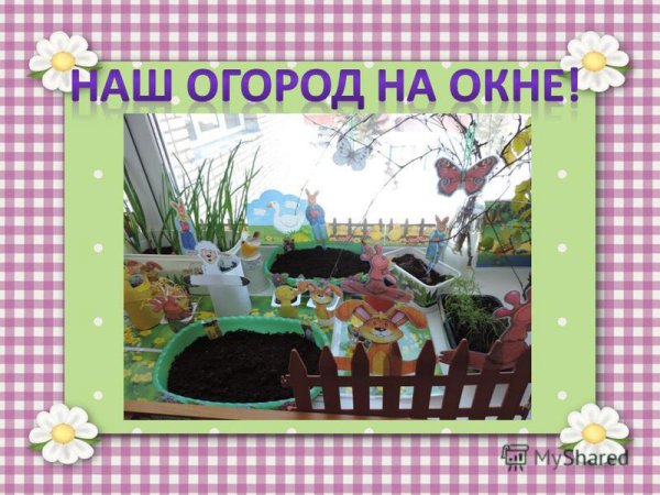 Огород на подоконнике рамка