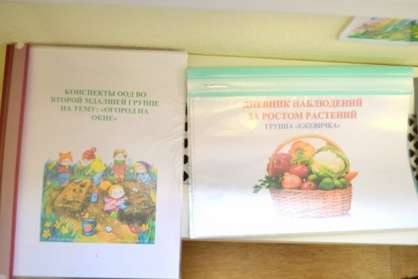 Обложка дневник наблюдений огород на окне