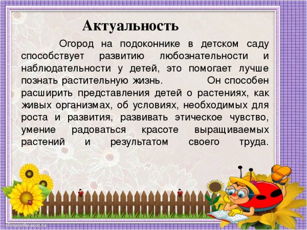 Презентация огород на окне в детском саду