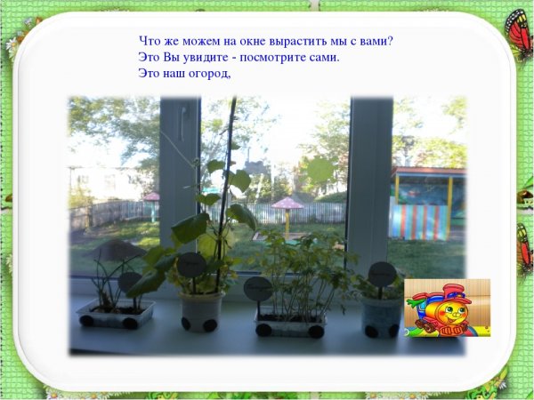Презентация огород на окне