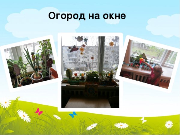 Огород на окошке название