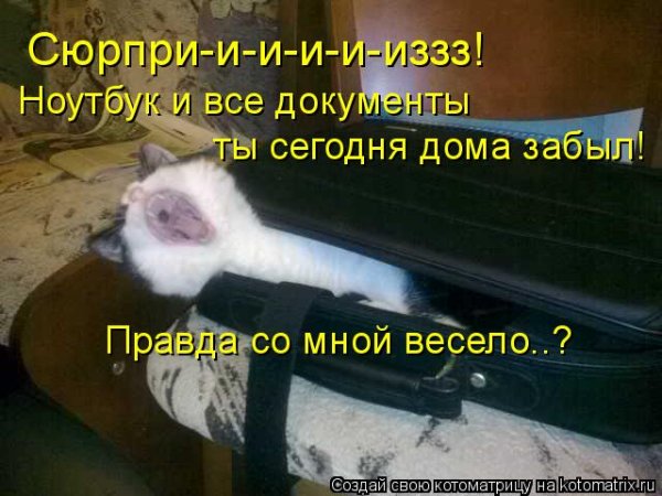 Мемы про лялю