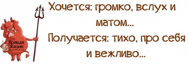 Прикольные фразы правда жизни