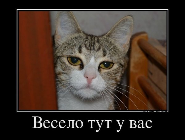 Весело тут у вас