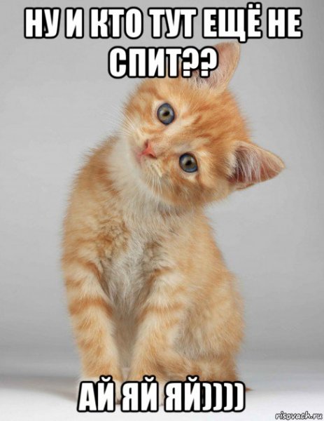 Кто тут ещё не спит