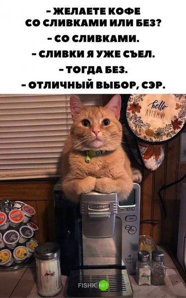 Юмор в картинках с надписями