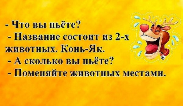 Смешные выражения и фразы для позитивного настроения