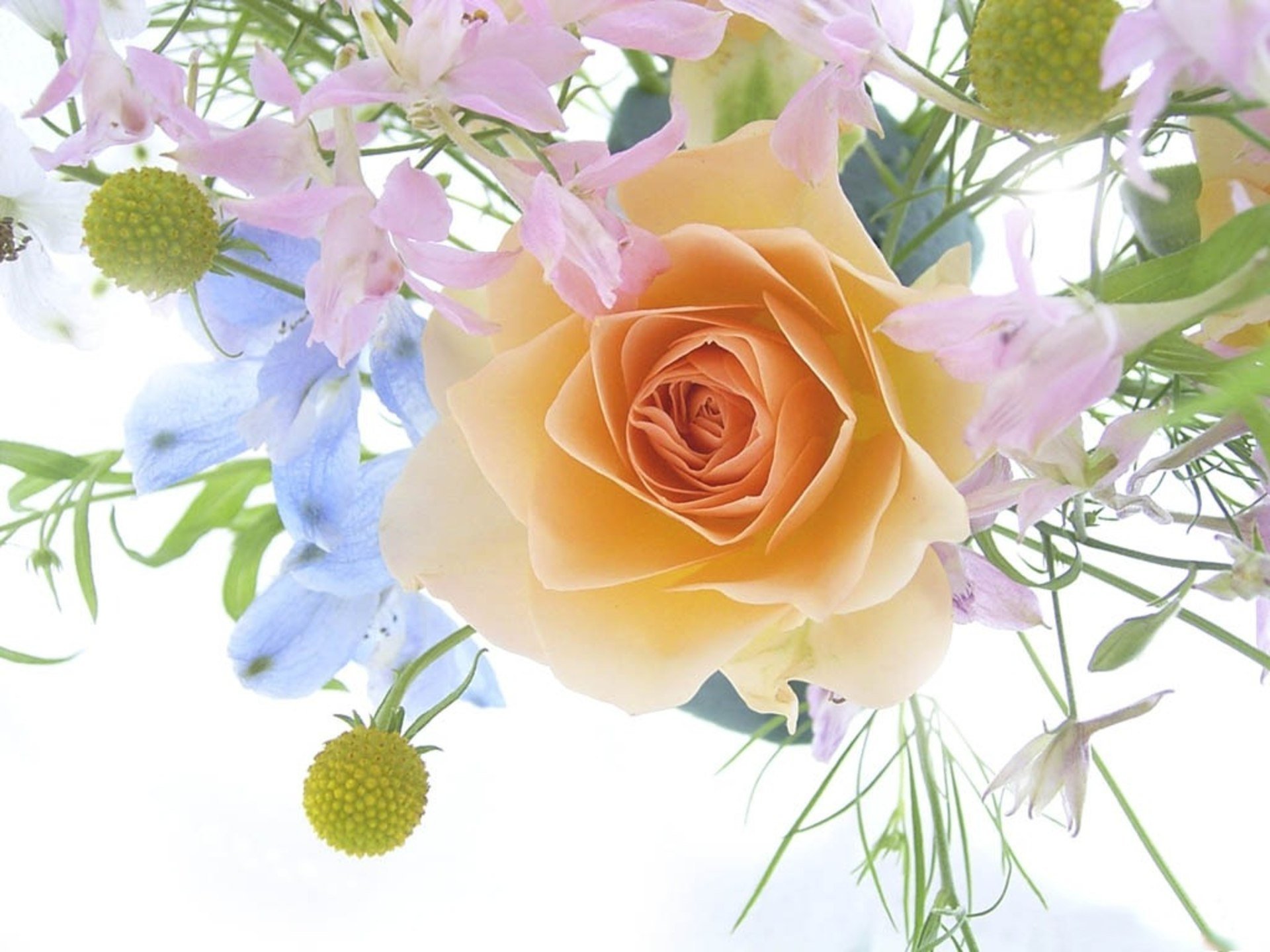 Поздравляю с праздником открытка красивая. Открытка цветы. Открытки с цветами красивые. Красивые цветы. Цветы поздравления.