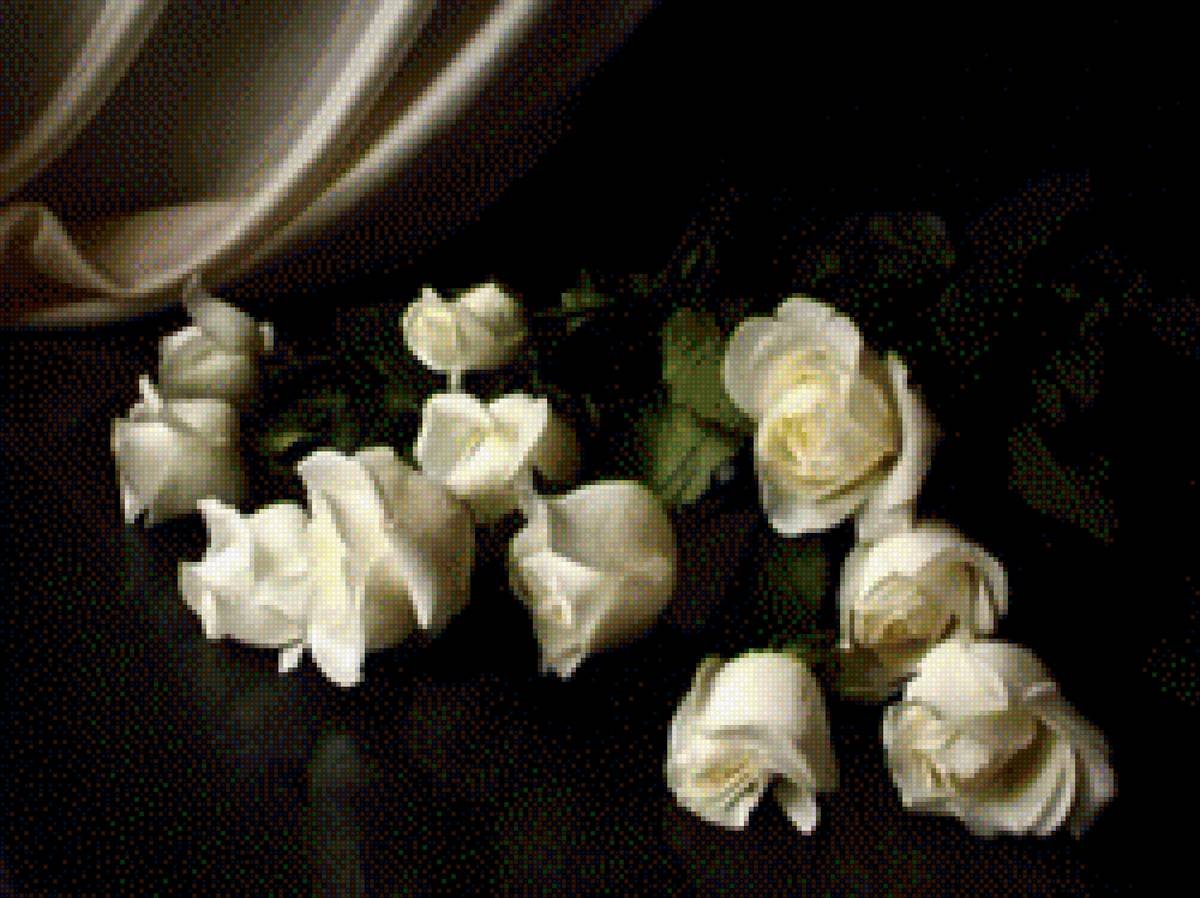 картинки добрый вечер с пожеланиями розы