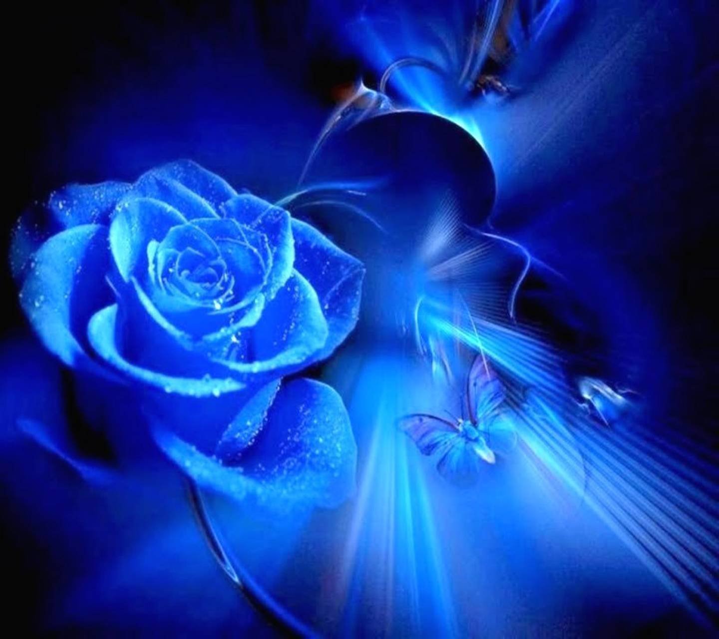 Мерцающие картинки ночь. Синие цветы. Черно синие цветы. Голубые цветы в ночи. Красивые цветы синие и чёрные.