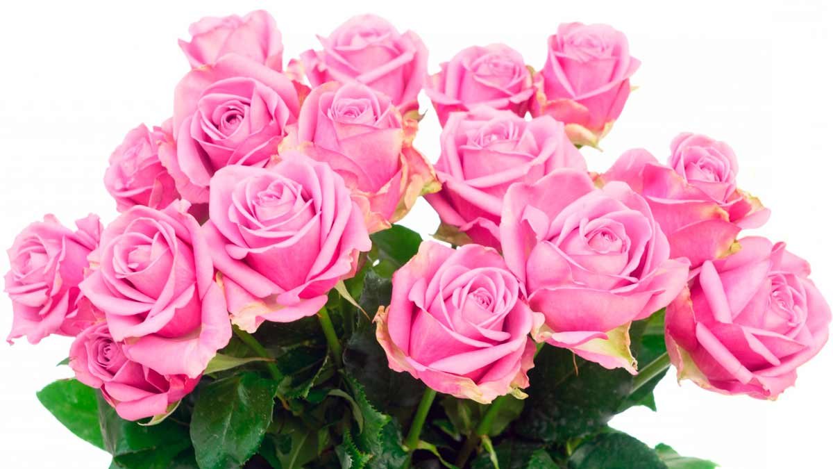 Счастье друг я тебя поздравляю. Розовые розы. Красивый букет роз. С днём рождения розы красивые. Букет цветов открытка.