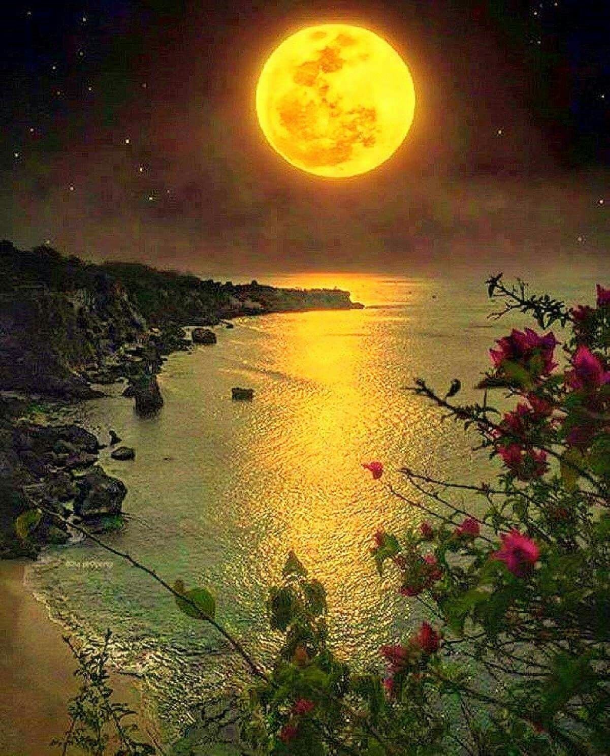 Прекрасного тихого ночи. Лунный пейзаж. Лунная ночь. Летняя ночь. Под лунным светом.